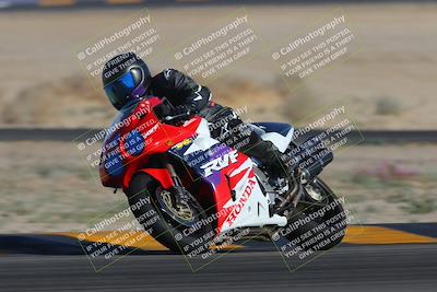 media/Feb-04-2023-SoCal Trackdays (Sat) [[8a776bf2c3]]/Turn 4 (Tree of Life 2pm)/